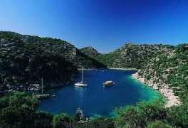 kamil2000777.bloog.pl Karalos