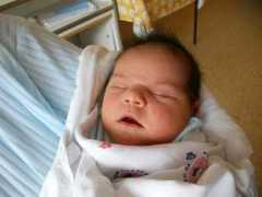 jihlavsky.denik.cz Karalova