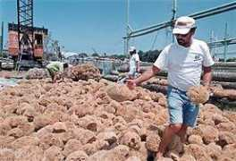 sptimes.com Karistinos