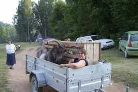 Karjus