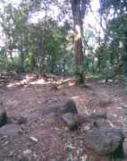 Karnala