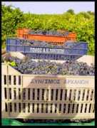 pinakas.info Karnari