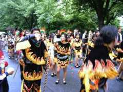 perspektive89.com Karnava