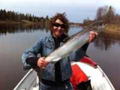 grayrapids.com Karpiak