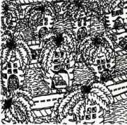 Karrot