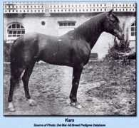 Kars