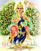 religion.indianetzone.com Kartikeya
