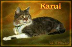 Karui