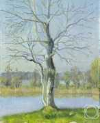 Kashina
