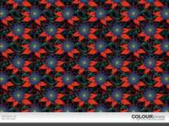 colourlovers.com Katchem