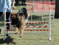 hinterlandgsd.com Katelynn