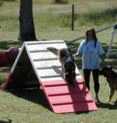 hinterlandgsd.com Katelynn