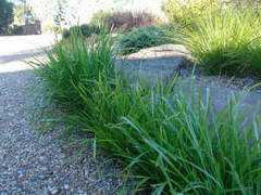 abulk.com.au Katrinus