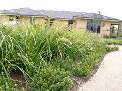 abulk.com.au Katrinus