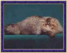 himalayan.org Kattenbach