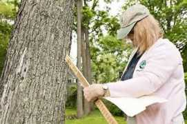 ww2.gazette.net Kavinski