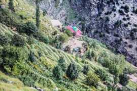 dawn.com Kedam
