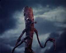 multiki.arjlover.net Kedre