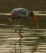 kentos.org.uk Keetham