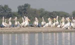 industrialtour.com Keetham