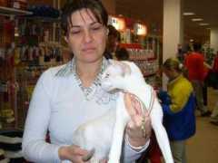 shagio-chen.hu Keilich