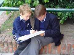 sanandres.esc.edu.ar Keltai