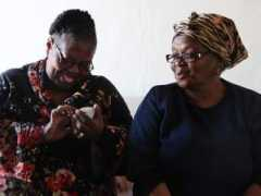 health.wusf.usf.edu Kelto