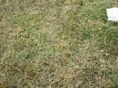 eyeonsoaps.com Kenryan