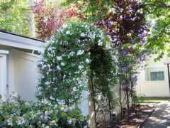 mcgrath-wagner.com Kenwal