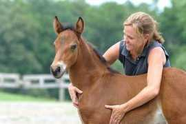 connemaras.com Kerrianna