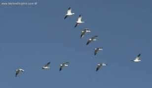 mendadaksantri.blogdetik.com Kesiangan