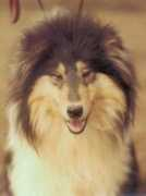 izvallarov.narod.ru Ketana