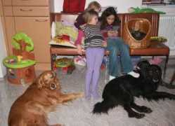 asthildurcesil.blog.is Kettina