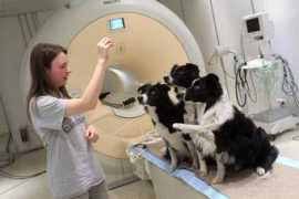 blogs.reuters.com Kettinger