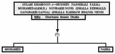 dewani.ca Khairoon