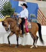 jerland.com Khareena