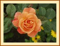 trekearth.com Khavari