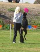 dobermantalk.com Khiera