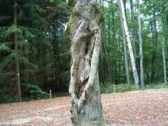 panoramio.com Khmm