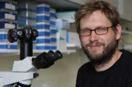 senckenberg.de Kieneke