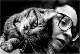 washingtonpost.com Kierig