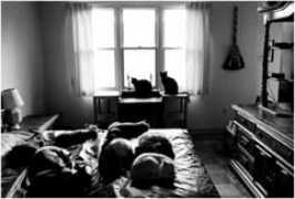 washingtonpost.com Kierig