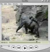 funnytheworld.com Kimani