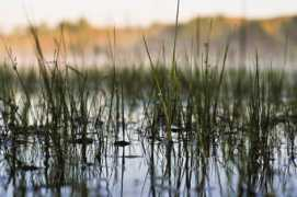 photodom.com Kirikov