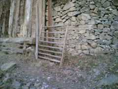 Kirmis