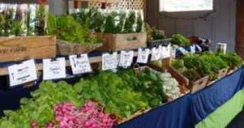 visitthurstoncounty.com Kirsop