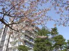 Kiyoun