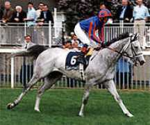 harvey-mayson.co.uk Kkatie