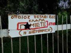 freddos.sport24.gr Klaria