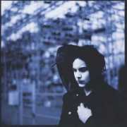 brooklynrail.org Klarl